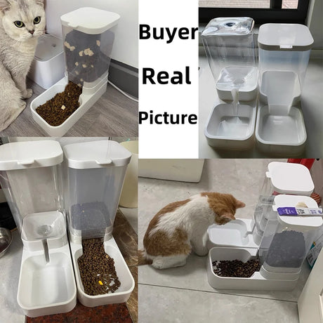 Cat Feeder with Automatic Water Dispenser