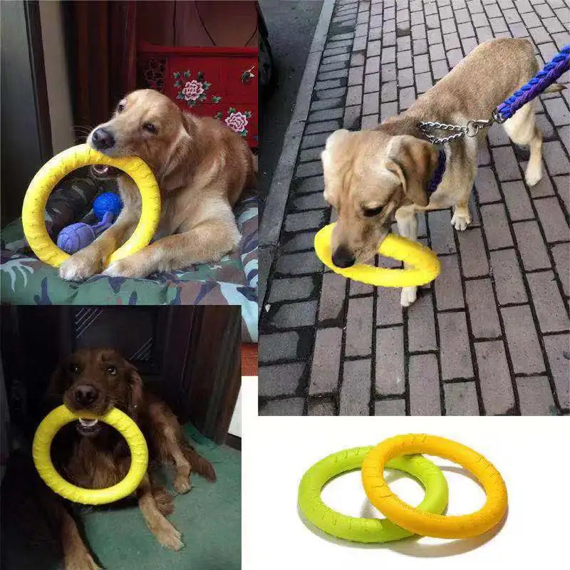 Pet Toys/Flying Disk Training Ring